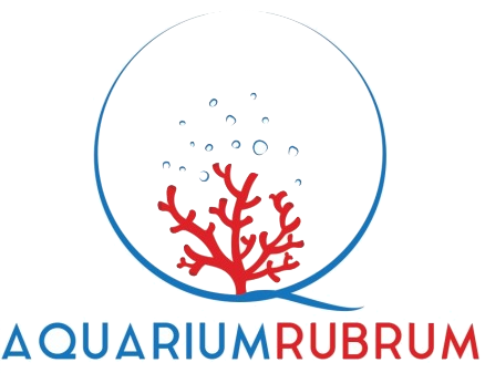 Aquariumrubrum